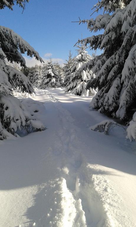La Grange Du Bout Du Chemin Villa Houffalize Dış mekan fotoğraf